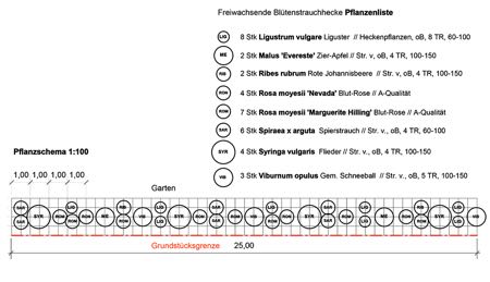 Pflanzschema freiwachsende Blütenstrauchhecke
